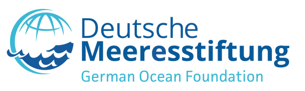 Deutsche Meeresstiftung Logo